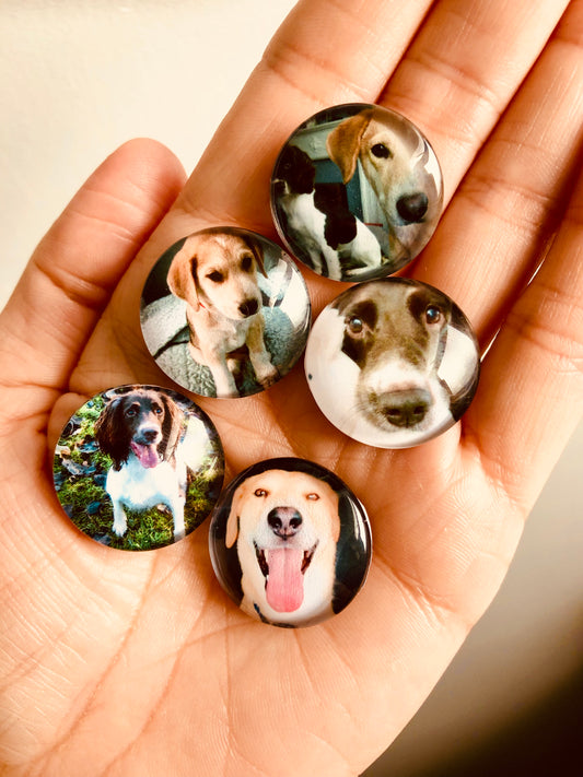 Glass Magnets (Set of 5)