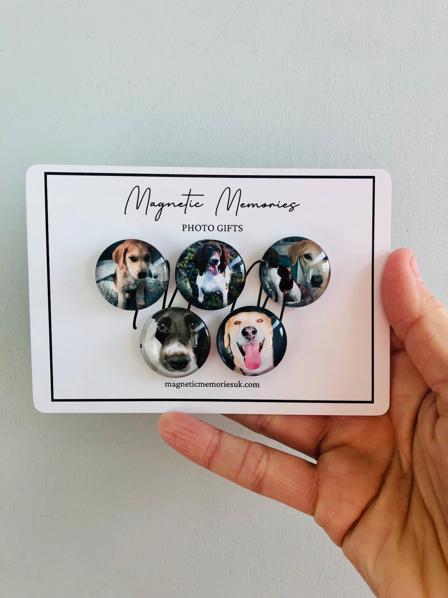 Glass Magnets (Set of 5)